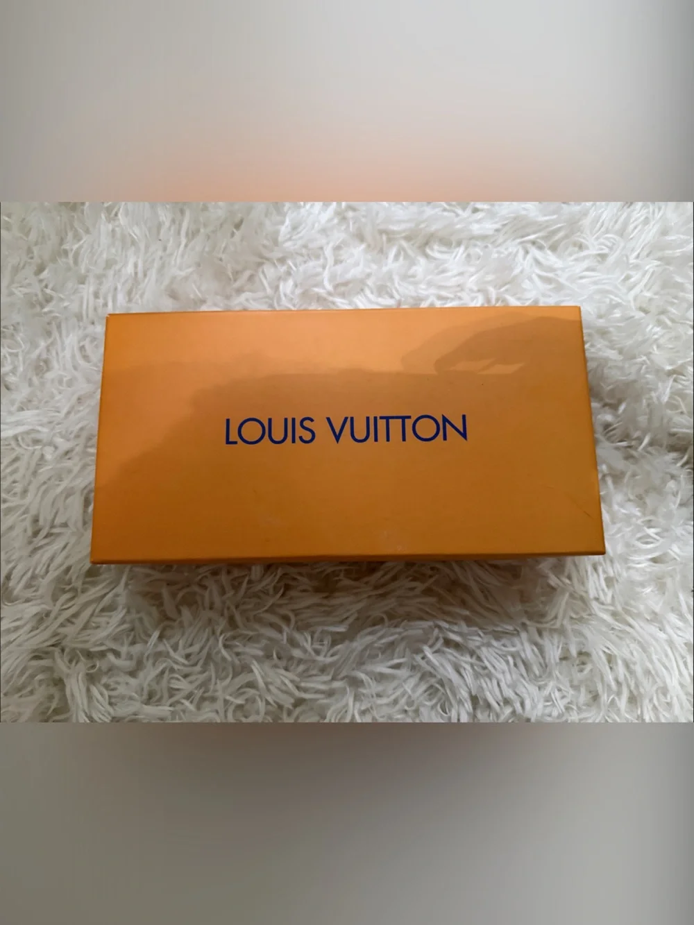 Louis Vuitton mini bag with Box with Navy Logo